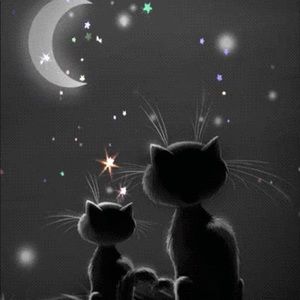 Meet your Posher, Mary joan